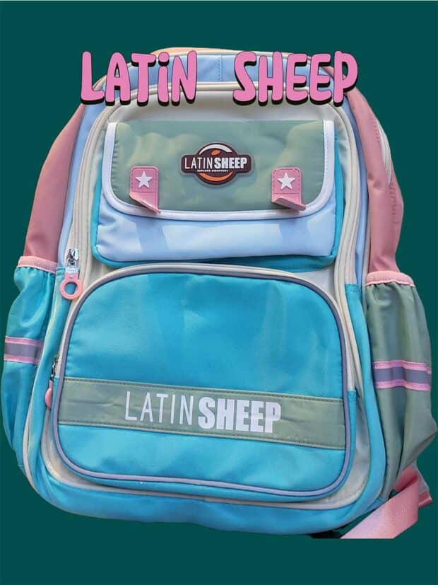 Latin Sheep smart school for students